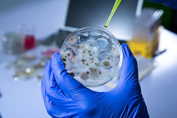 Ученые: Глобальное потепление создаст неубиваемые антибиотиками бактерии