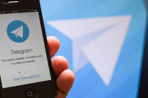 В Госдуме назвали блокировку Telegram бестолковой и смешной