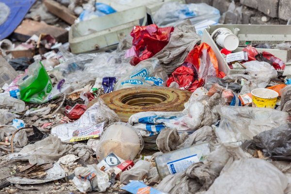 Жители Подмосковья вышли на митинг против мусорного полигона