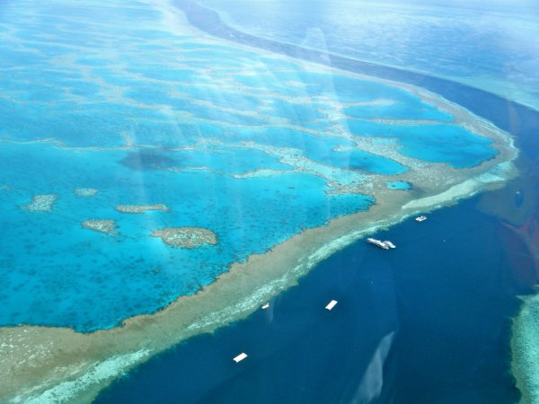 Большой Барьерный риф «воскресал» пять раз за последние 30 тысяч лет