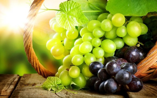 Учёные нашли неожиданную пользу винограда