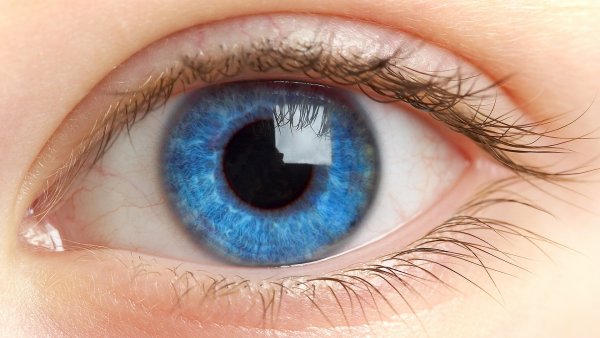Ученые напечатали на 3D-принтере первую роговицу человеческого глаза