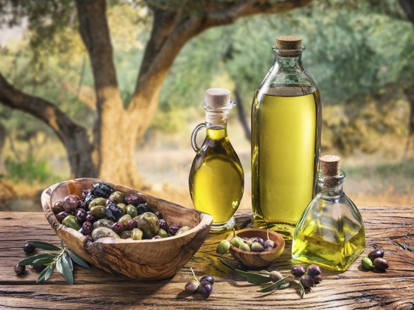 Ученые: В Италии обнаружили самое древнее оливковое масло