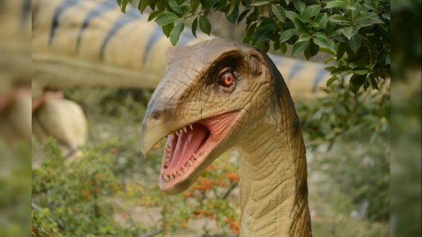 В Никитском ботаническом саду покажут скелет крымского динозавра