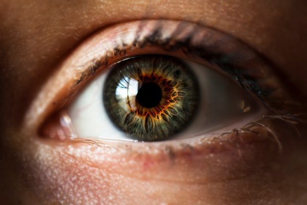 В США разрешили применение гибкой искусственной радужки глаз