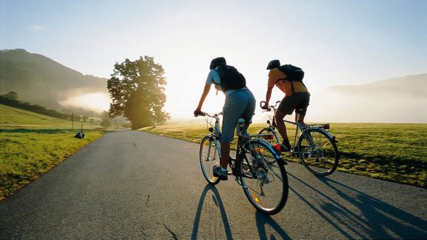 Госдума защитит велосипедистов от лишения водительских прав