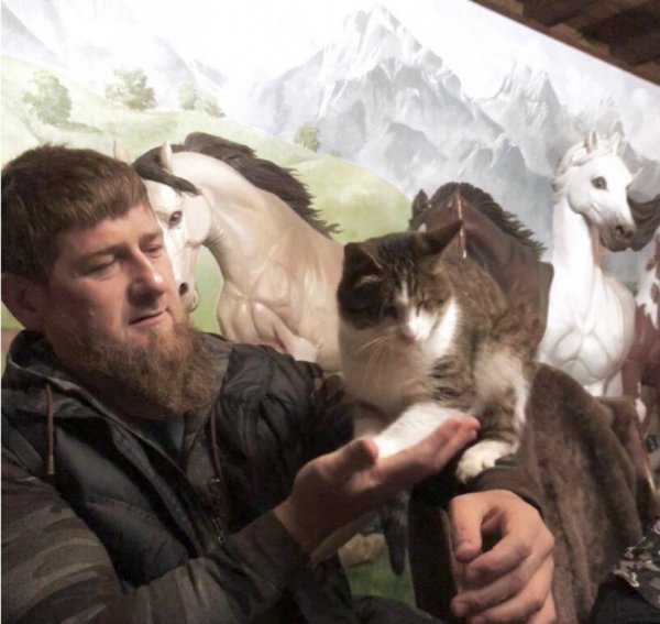 Рамзан Кадыров рассказал, как и почему выбрал в приюте именно слепого кота Дарира