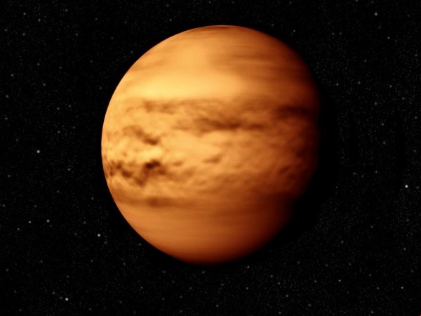 Ученые обнаружили на Земле создания родом с Венеры