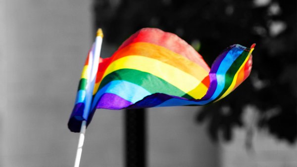 В ЕСПЧ направлено 7 заявлений об ущемлении ЛГБТ-активистов на территории России