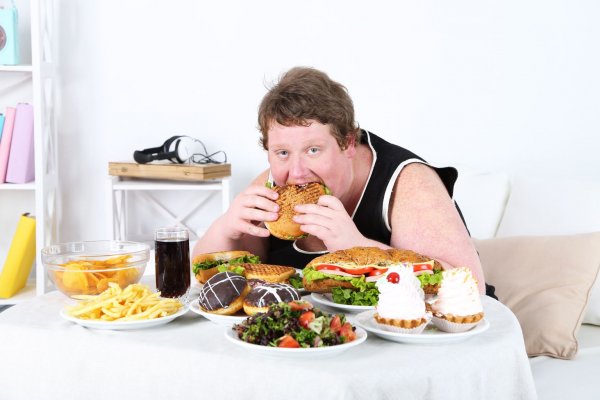 Ученые установили причину любви человека к жирной еде