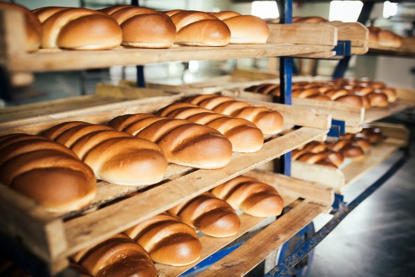 Роскачество назвало регионы России с самым лучшим хлебом