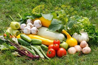 Составлен рейтинг самых полезных огородных овощей