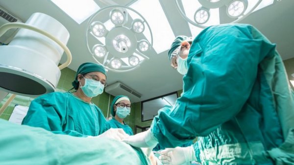 В Боткинской больнице начали практиковать пересадку органов и тканей