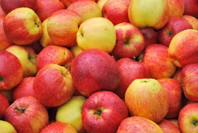 Употребление яблок снижает риск возникновения рака, - ученые