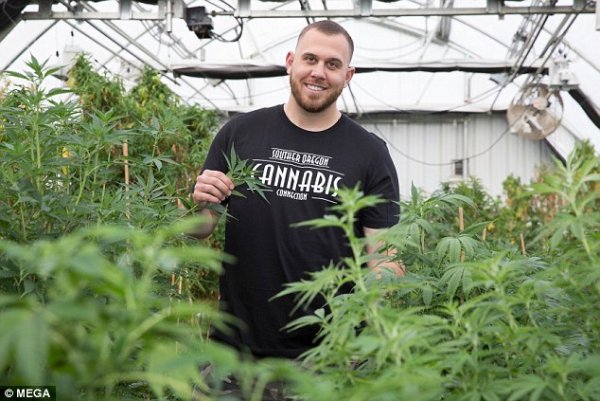 Выращивающий марихуану племянник Меган Маркл может запустить собственное реалити-шоу