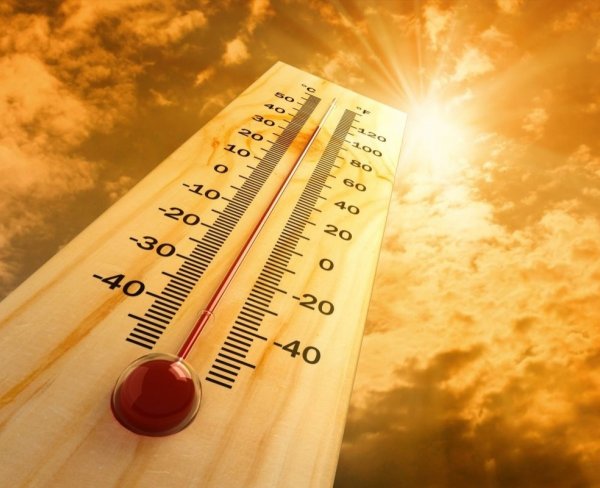 Ученые считают, что длительная жара влияет на мозговую деятельность человека