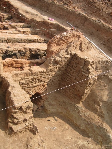Астраханские студенты во время раскопок нашли панцирь черепахи, жившей в X-XI веке