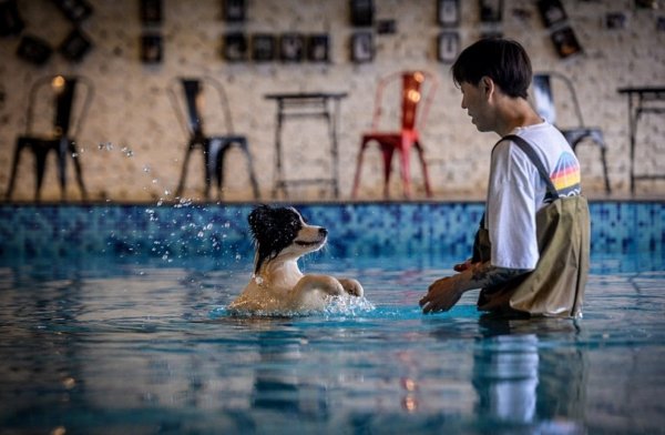В Китае мужчина потратил 335 тысяч фунтов стерлингов на особняк для собаки