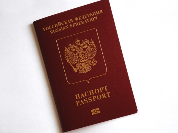 Татьяна Москалькова предложила сделать «паспортную амнистию»