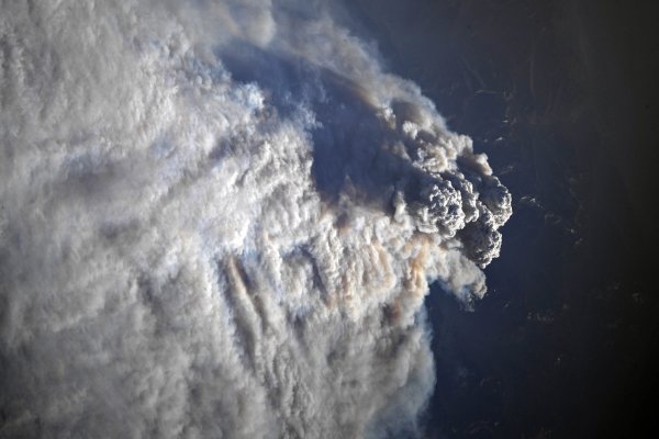 Космонавт Олег Артемьев показал, как выглядит пожар в Калифорнии из космоса