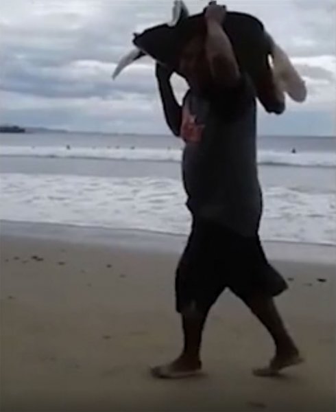 В Никарагуа сняли на камеру похищение морской черепахи на пляже