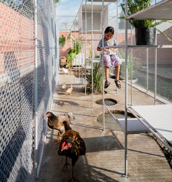 Детки в клетке: вьетнамцы предложили внукам играть в курятнике