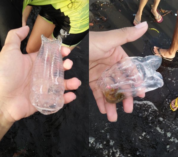 У побережья Филиппин нашли «рыбу-инопланетянина»