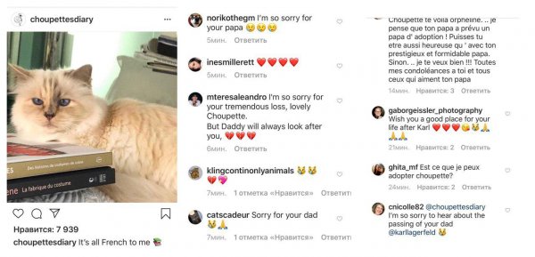 Умер Карл Лагерфельд: Люди со всего мира выражают соболезнования кошке модельера